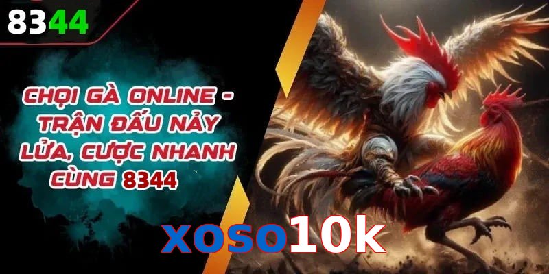 Đá gà xoso10k có rất nhiều ưu điểm vượt trội so với sân chơi khác
